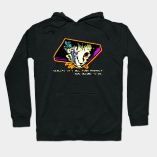 All Your Base Are Belong to Ceiling Cat Hoodie